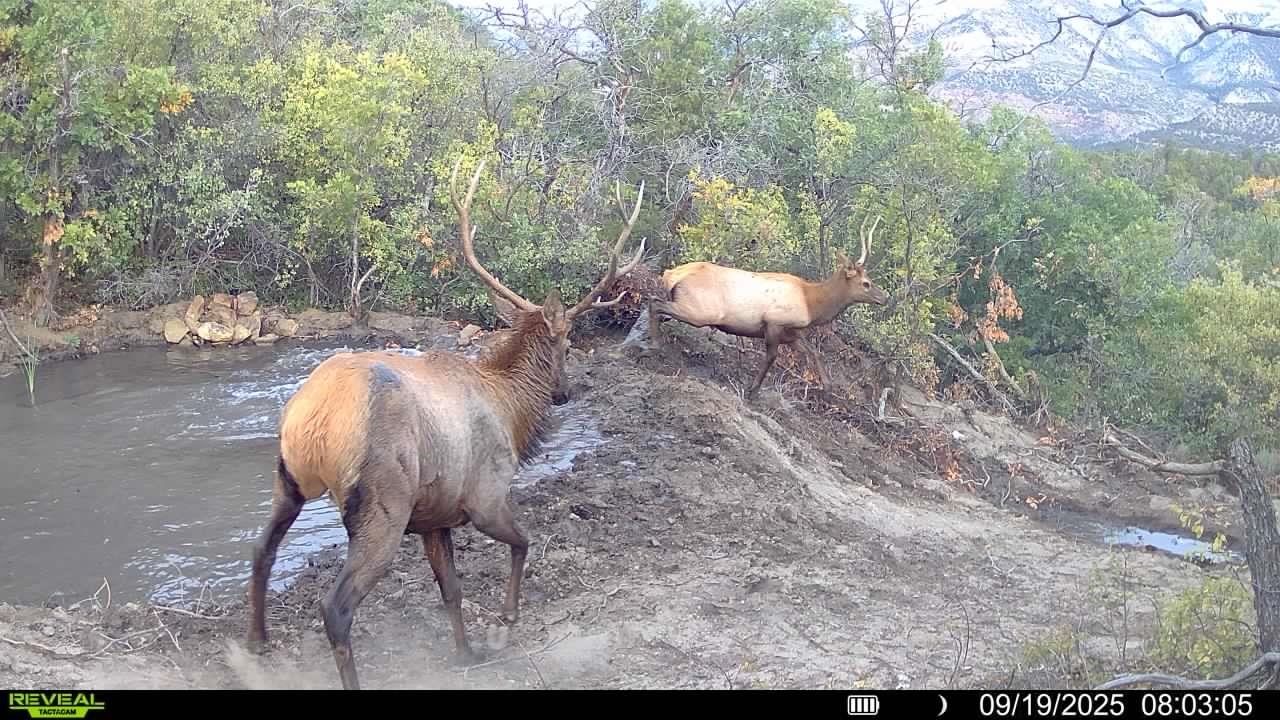 0 X West 1/2 Road De Beque, CO 81630 - Photo 15 of 40 a view of an outdoor space with sitting area