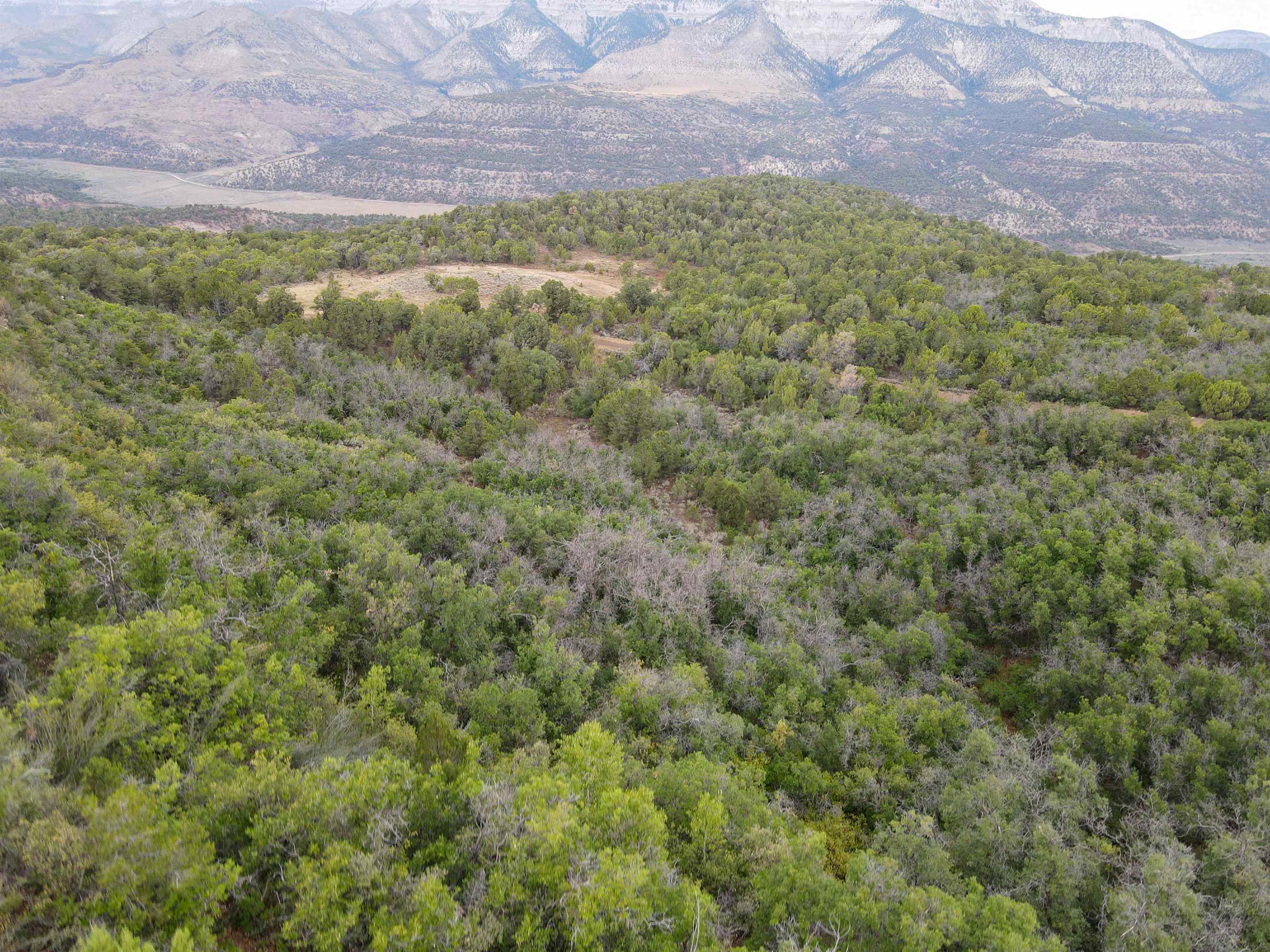 0 X West 1/2 Road De Beque, CO 81630 - Photo 2 of 40 a view of a field of the building