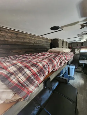 a view of a dry yard with trees