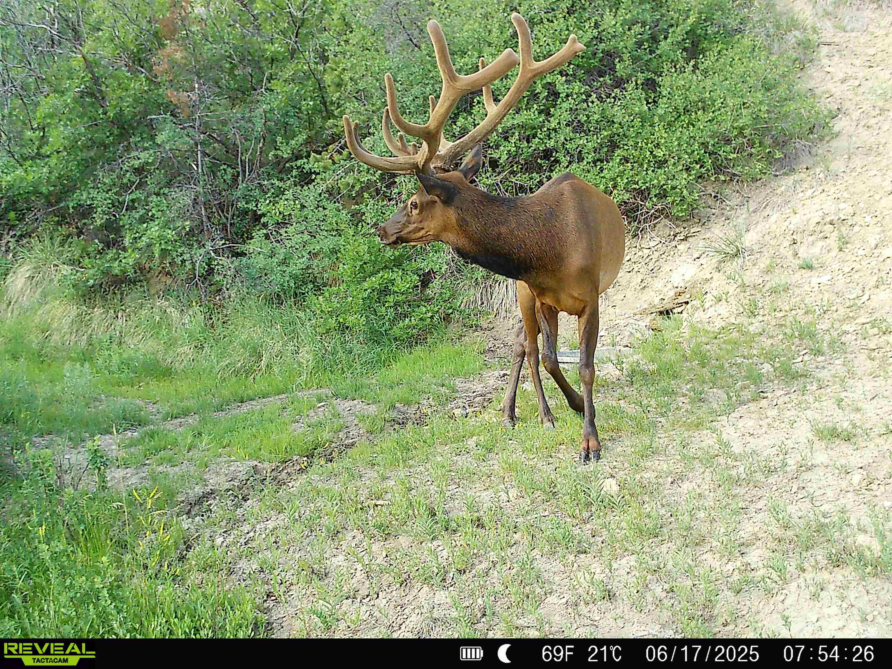 0 X West 1/2 Road De Beque, CO 81630 - Photo 23 of 40