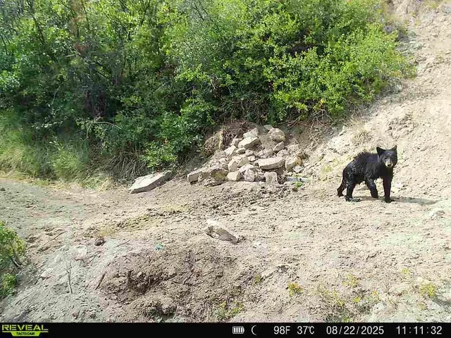 a view of swimming pool