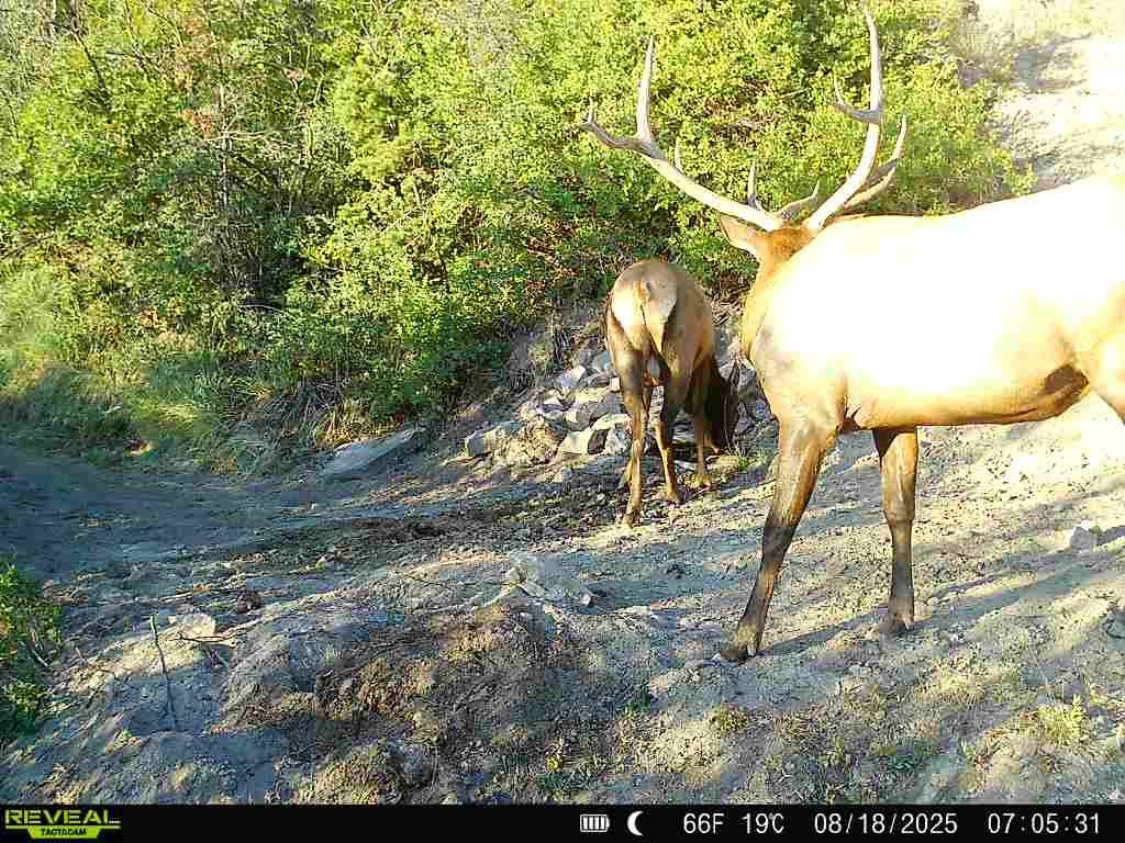 0 X West 1/2 Road De Beque, CO 81630 - Photo 25 of 40 a view of a entertaining space