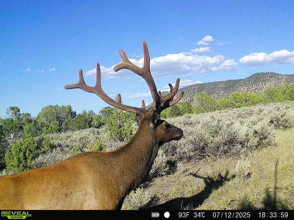 0 X West 1/2 Road De Beque, CO 81630 - Photo 26 of 40