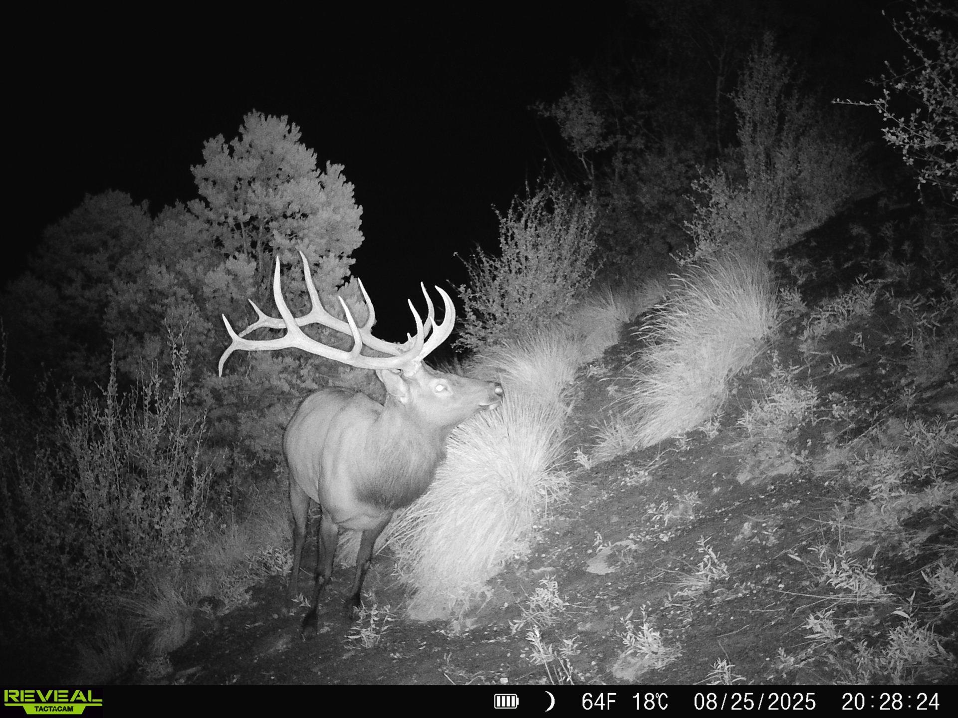 0 X West 1/2 Road De Beque, CO 81630 - Photo 27 of 40