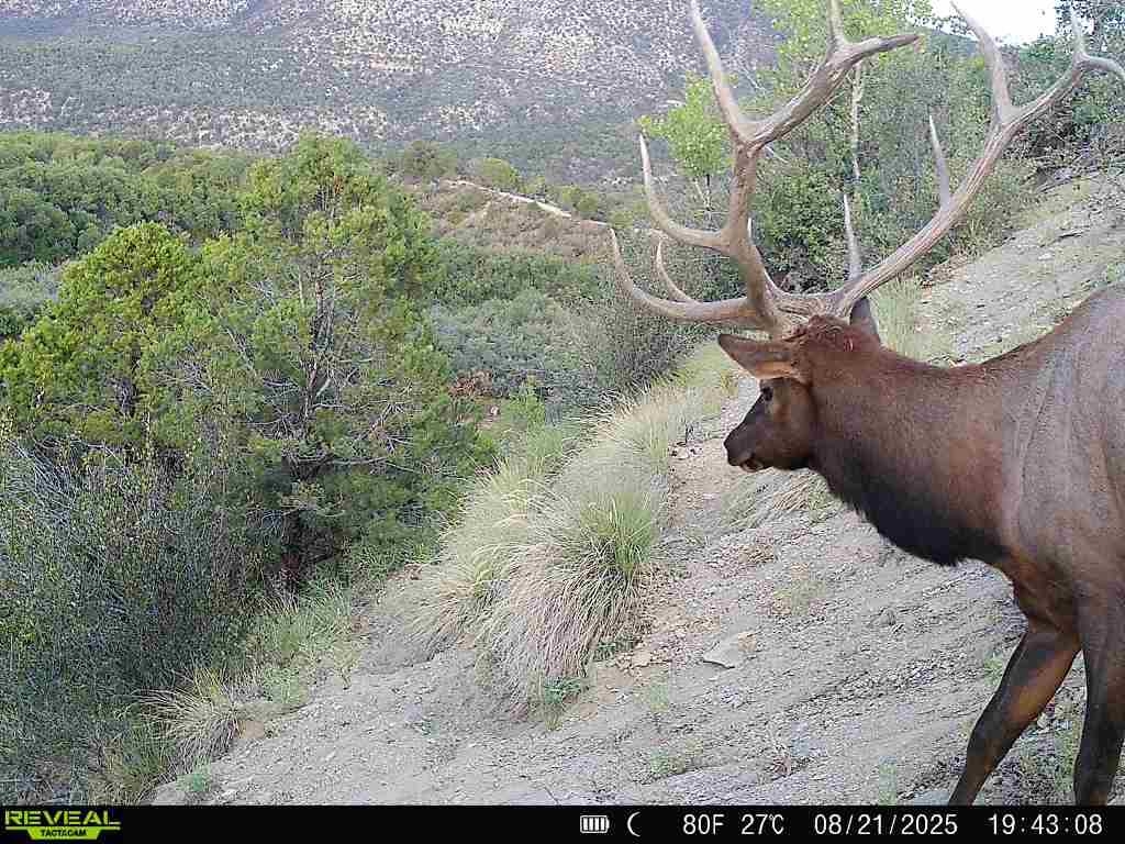 0 X West 1/2 Road De Beque, CO 81630 - Photo 28 of 40 a view of a backyard of a house
