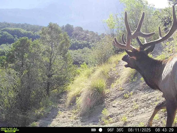 a view of a backyard of the house