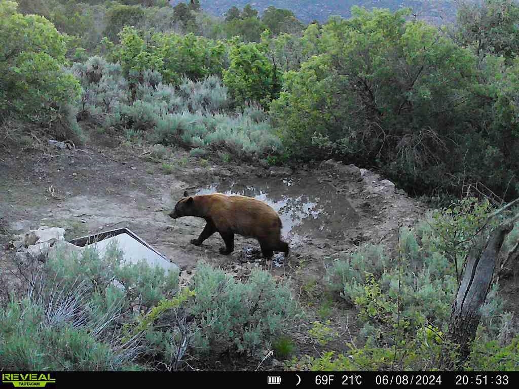 0 X West 1/2 Road De Beque, CO 81630 - Photo 30 of 40 a backyard of a house with lots of green space