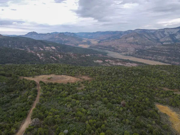 a view of a mountain range with lush green forest