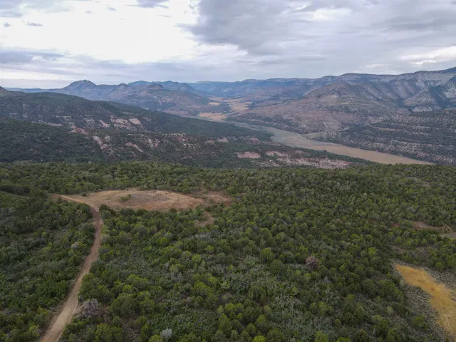 a view of a mountain range with lush green forest