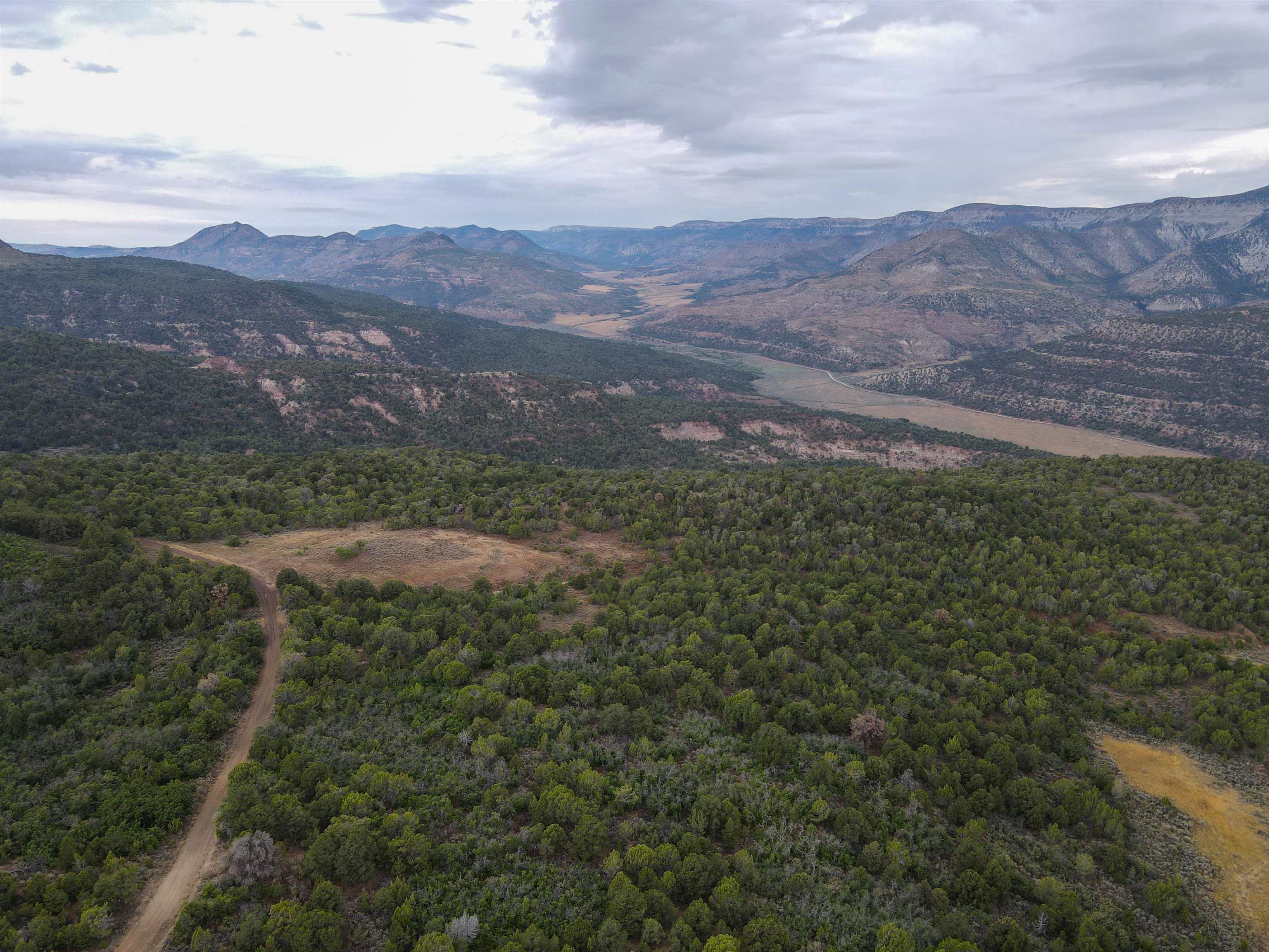 0 X West 1/2 Road De Beque, CO 81630 - Photo 3 of 40 a view of a mountain range with lush green forest