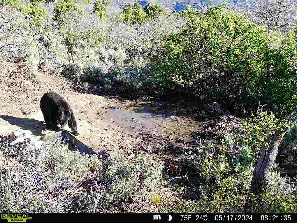 0 X West 1/2 Road De Beque, CO 81630 - Photo 31 of 40 a view of a backyard of the house