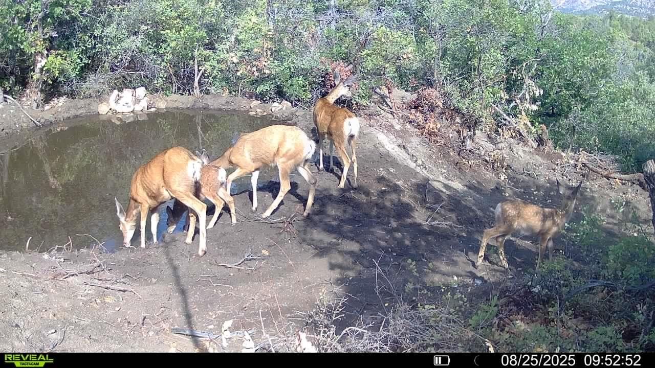 0 X West 1/2 Road De Beque, CO 81630 - Photo 32 of 40 a view of a lake view