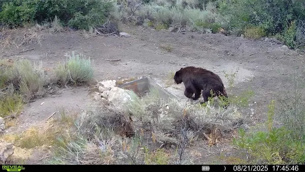 $1,200,000 | 0 X West 1/2 Road, De Beque, CO 81630