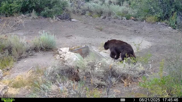 $1,200,000 | 0 X West 1/2 Road, De Beque, CO 81630