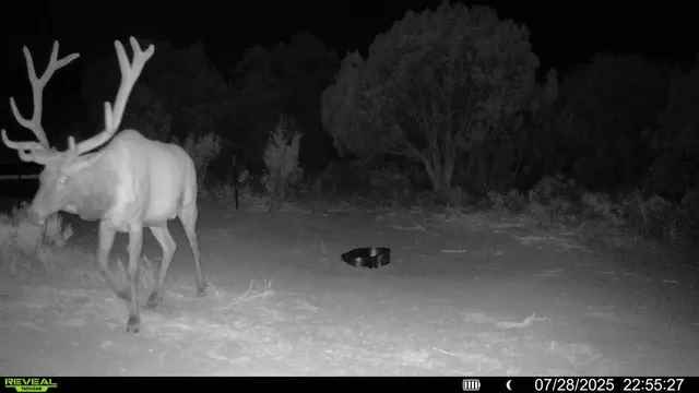 $1,200,000 | 0 X West 1/2 Road, De Beque, CO 81630