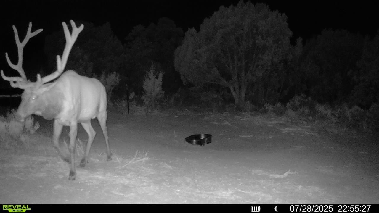 0 X West 1/2 Road De Beque, CO 81630 - Photo 35 of 40