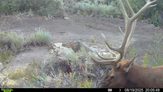 $1,200,000 | 0 X West 1/2 Road, De Beque, CO 81630