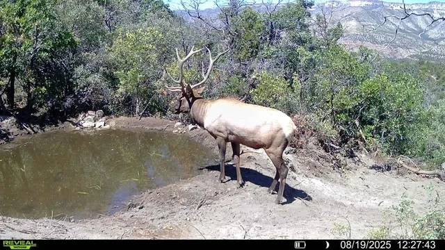 $1,200,000 | 0 X West 1/2 Road, De Beque, CO 81630