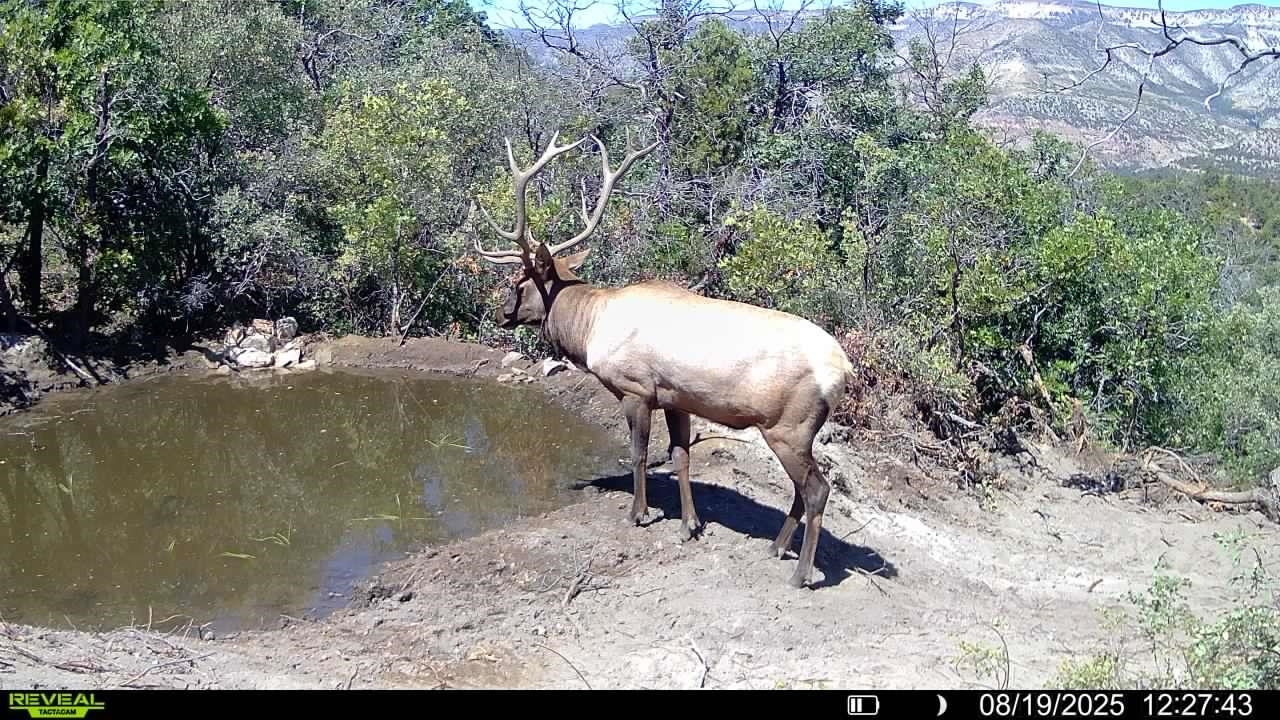 0 X West 1/2 Road De Beque, CO 81630 - Photo 39 of 40 a backyard of a house with table and chairs