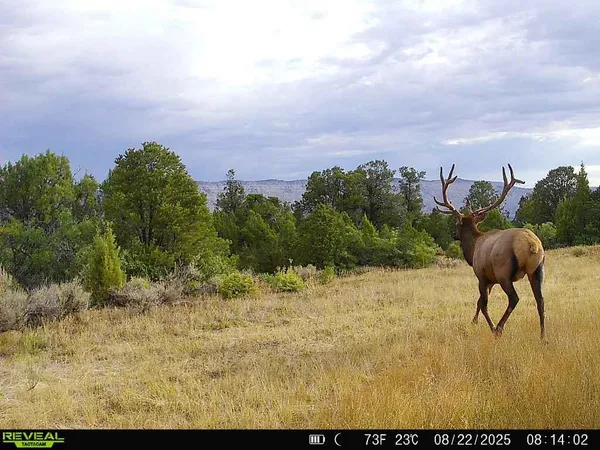 $1,200,000 | 0 X West 1/2 Road, De Beque, CO 81630