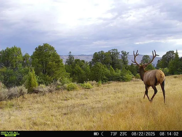 $1,200,000 | 0 X West 1/2 Road, De Beque, CO 81630