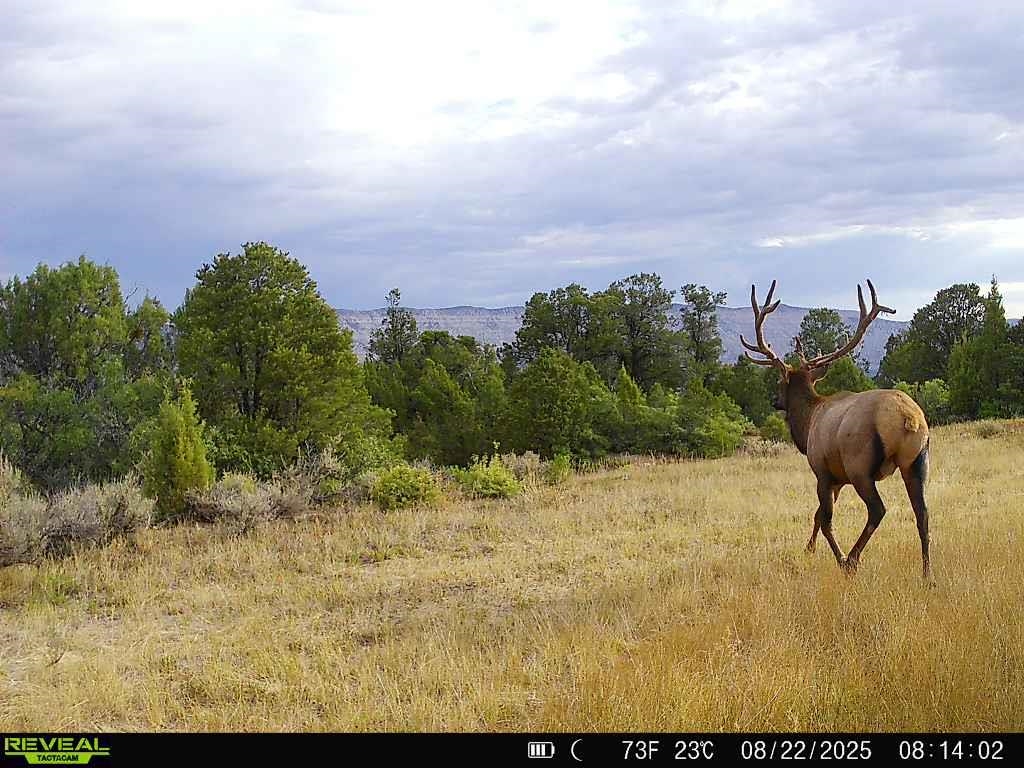0 X West 1/2 Road De Beque, CO 81630 - Photo 40 of 40