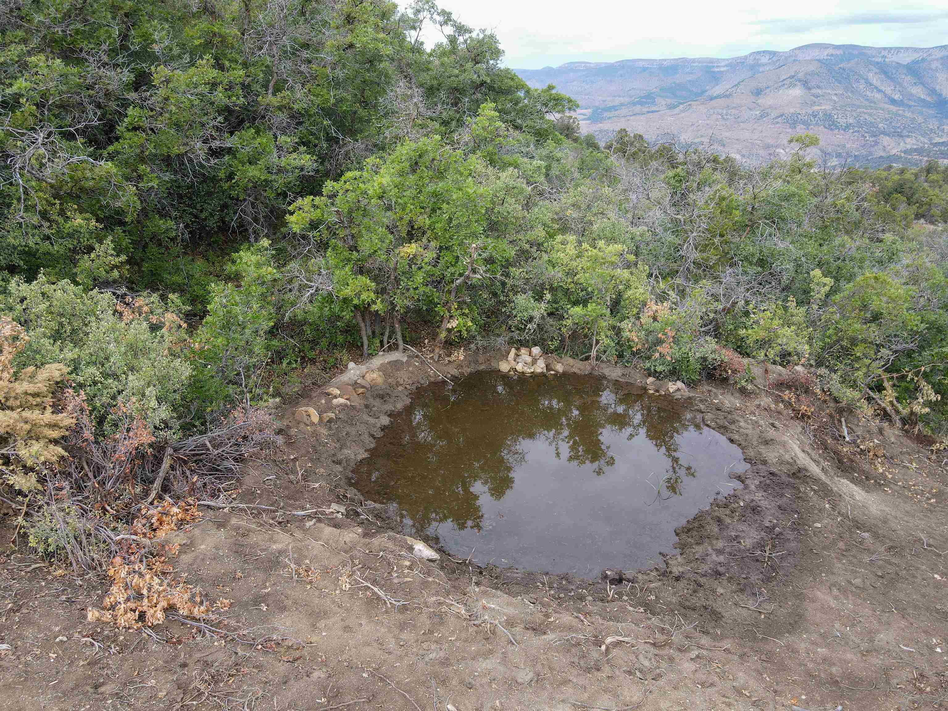 0 X West 1/2 Road De Beque, CO 81630 - Photo 7 of 40 a view of a lake with a mountain