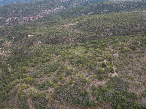 a view of a lush green hillside and a houses