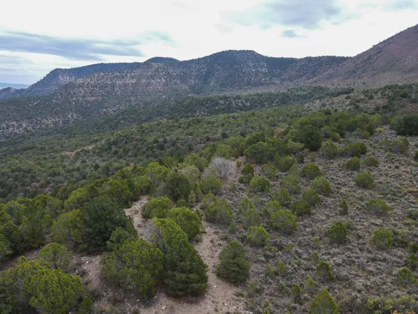 a view of swimming pool