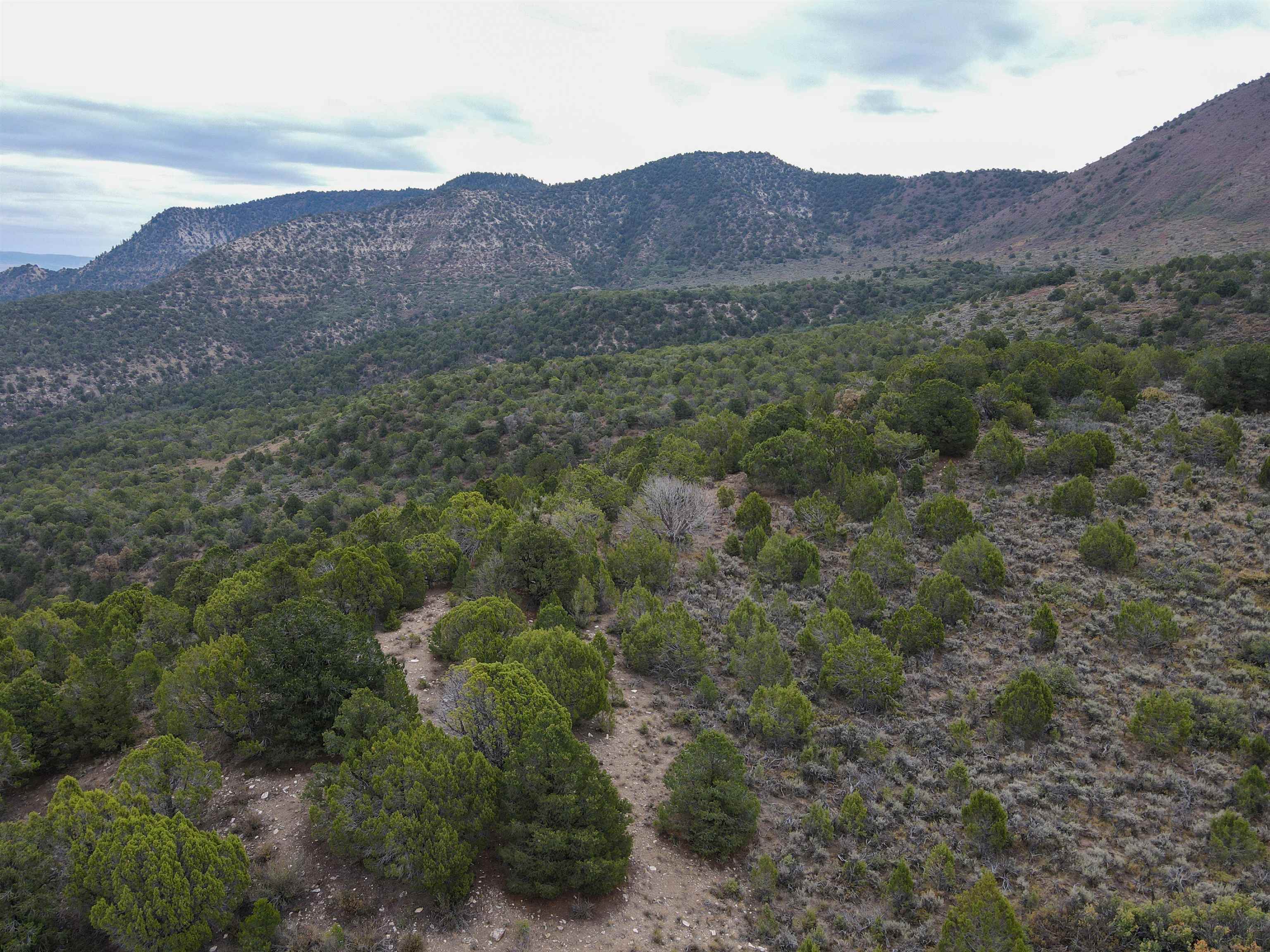 0 X West 1/2 Road De Beque, CO 81630 - Photo 10 of 40 a view of a lush green hillside and a houses