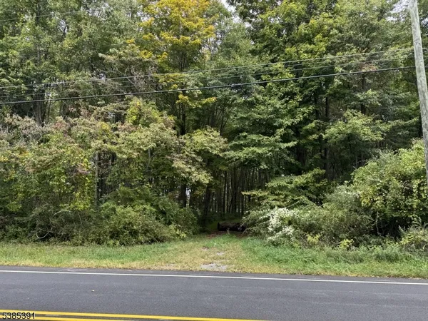 a view of a yard with plants and trees