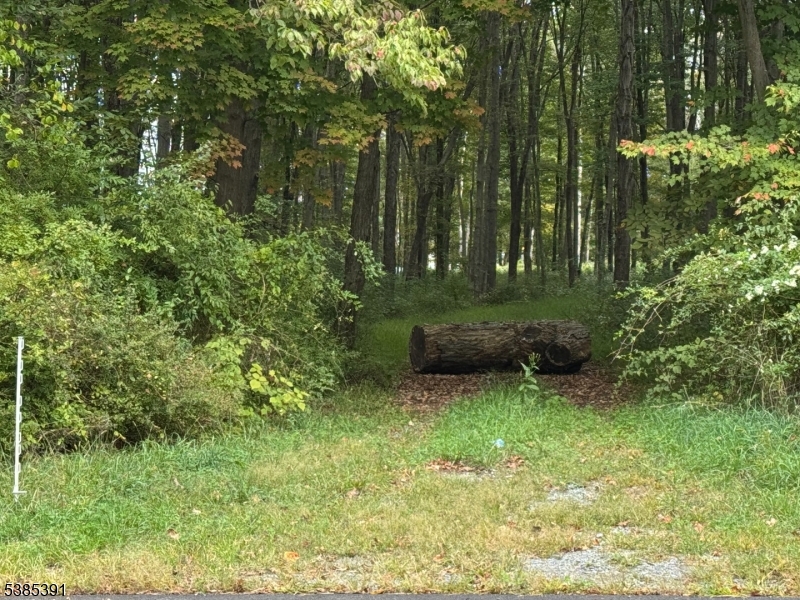 0 South 4 Bridges Road Chester, NJ 07930 - Photo 2 of 4 a view of garden with trees