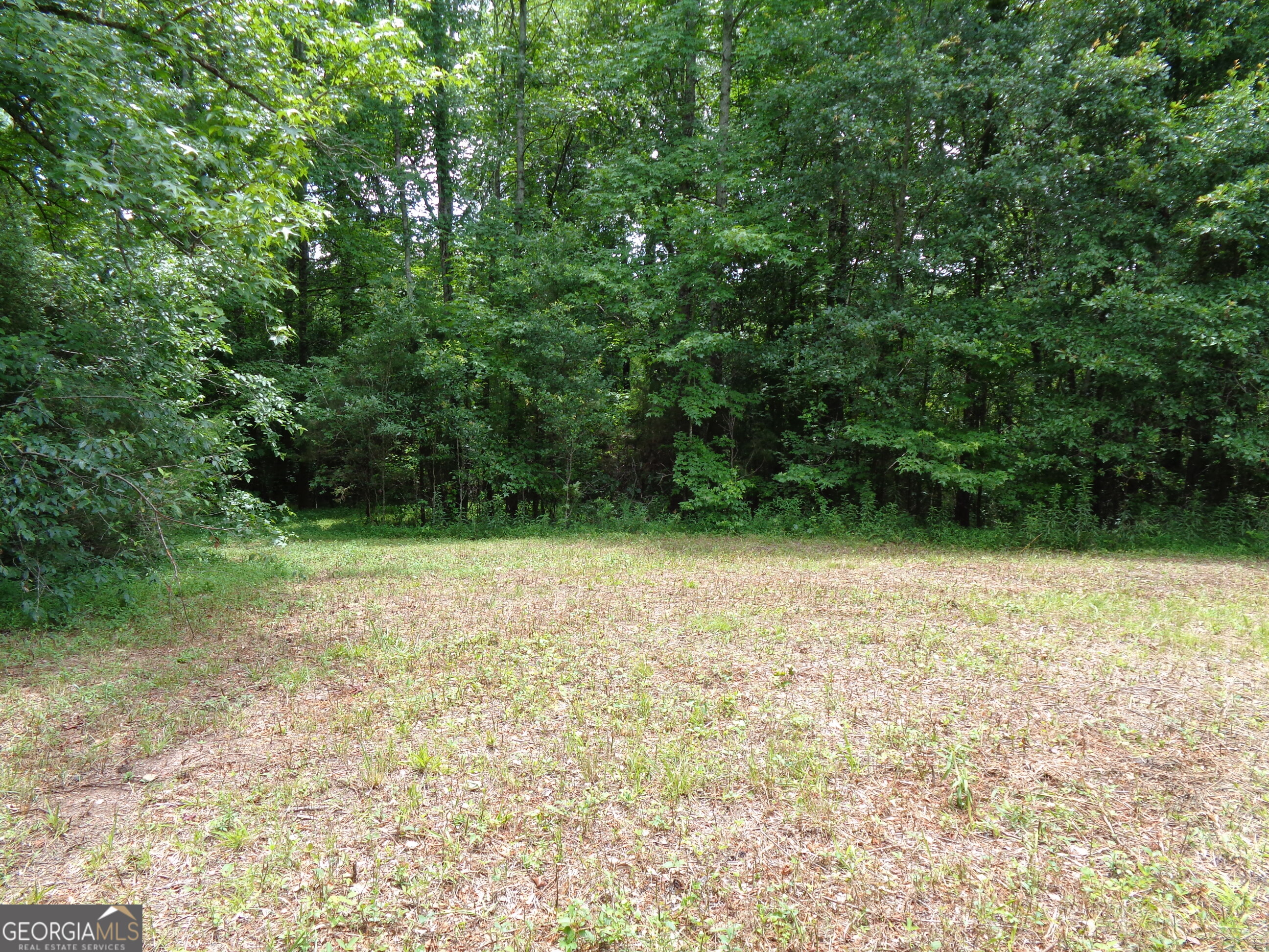 2411 Kesler Road Carnesville, GA 30521 - Photo 53 of 61 a view of outdoor space and yard