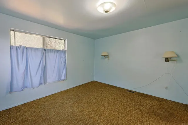 a view of a yard with large trees