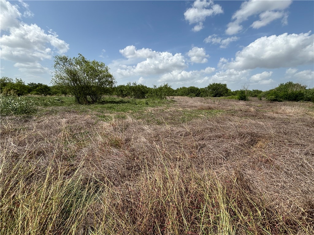 568 Jennifer Loop Orange Grove, TX 78372 - Photo 5 of 35 a view of a lake