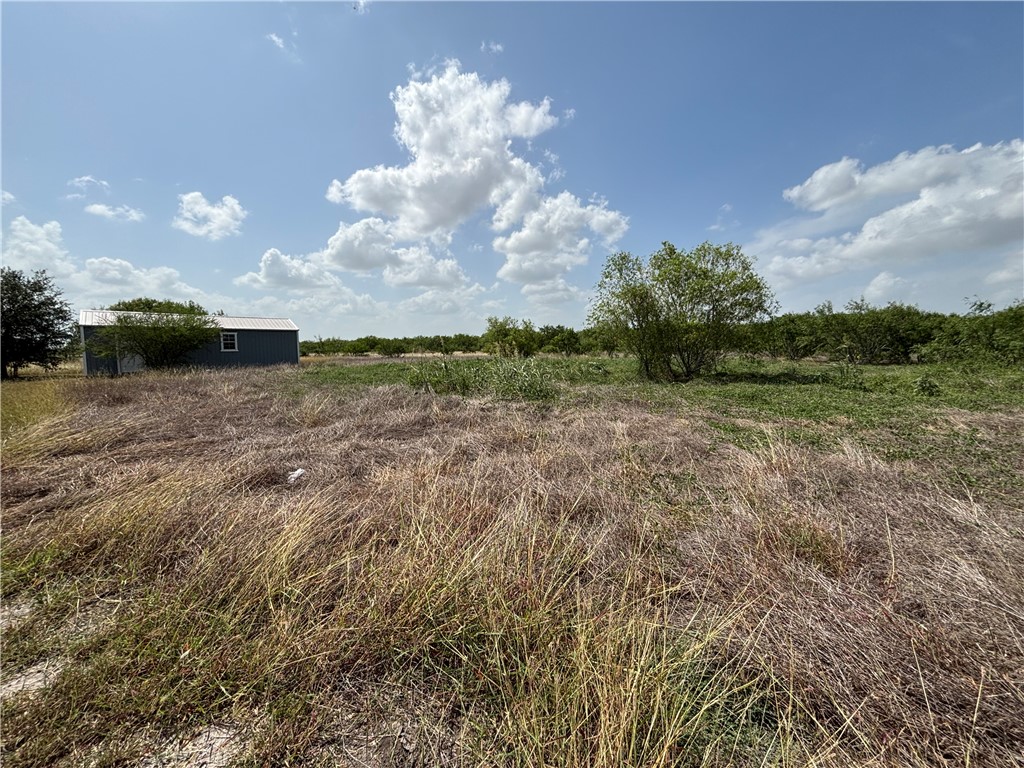 568 Jennifer Loop Orange Grove, TX 78372 - Photo 6 of 35 a view of a big yard with lots of green space