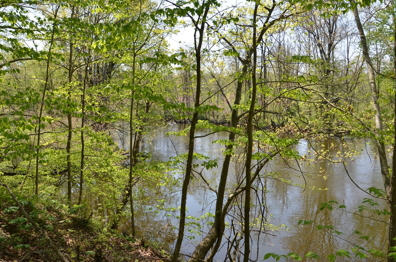 2255 River Road Hastings, MI 49058 - Photo 80 of 94