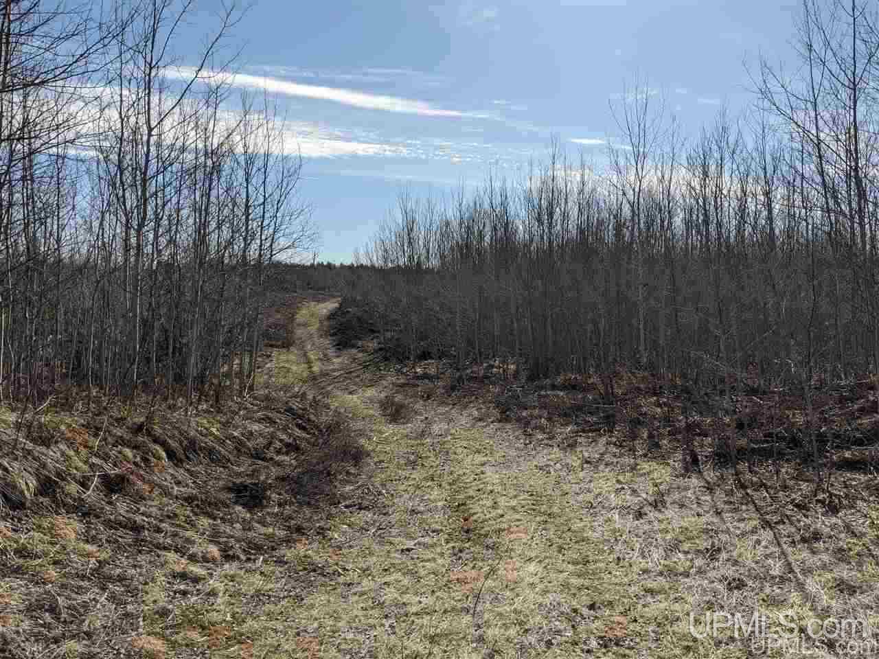 1 Little Bull Road, Unit N1/2NW1/4 Crystal Falls, MI 49920 - Photo 3 of 13