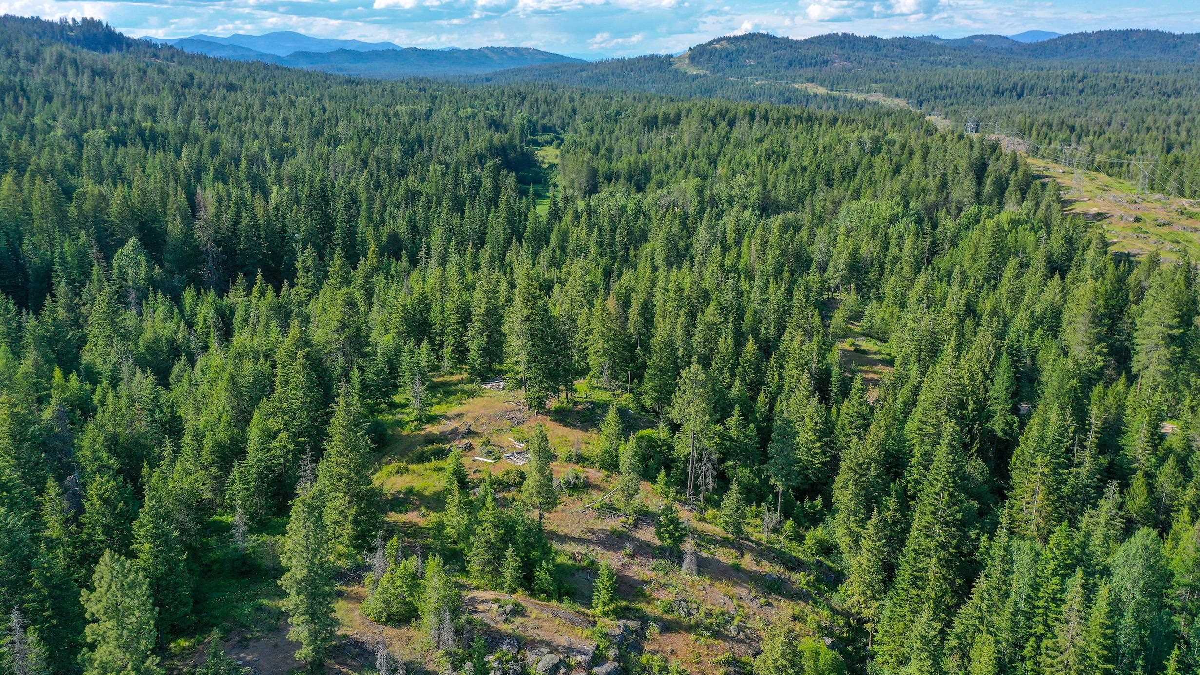 42 Diamond View Road Newport, WA 99156 - Photo 9 of 14 Gallery Image 9