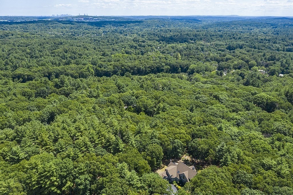 166 Tower Road Lincoln, MA 01773 - Photo 39 of 39 a view of a lush green forest with trees and some houses