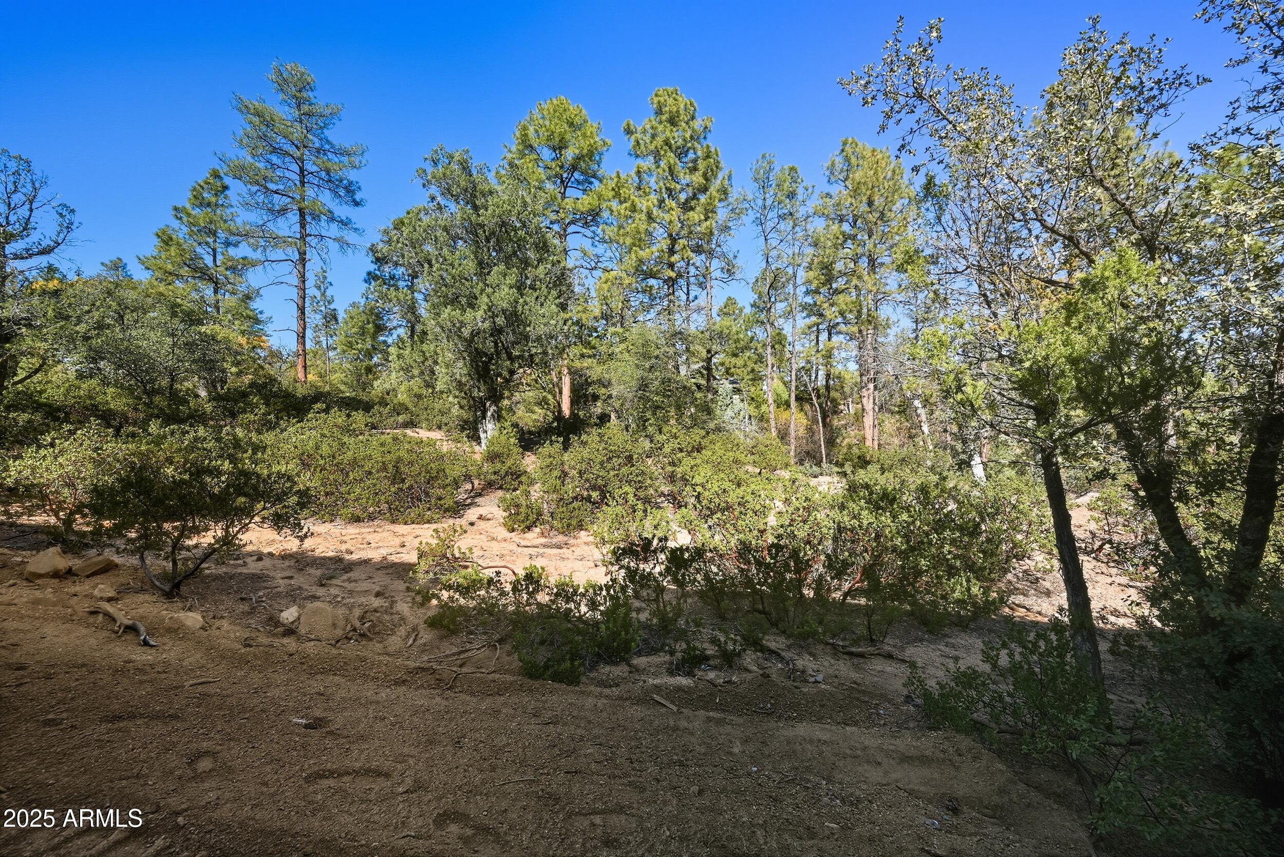 3004 East Game Trail, Unit 243 Payson, AZ 85541 - Photo 1 of 17 a view of a yard with a tree