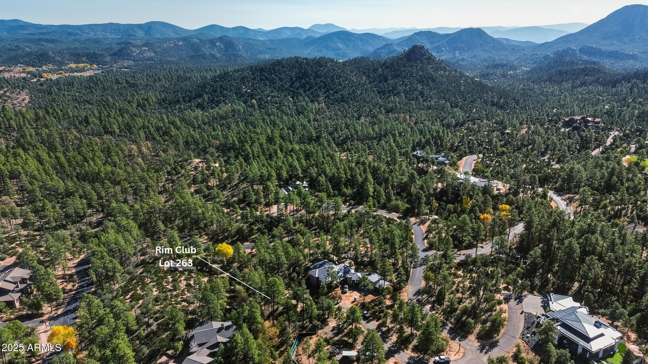 3004 East Game Trail, Unit 243 Payson, AZ 85541 - Photo 15 of 17 a view of a lush green forest with a tree
