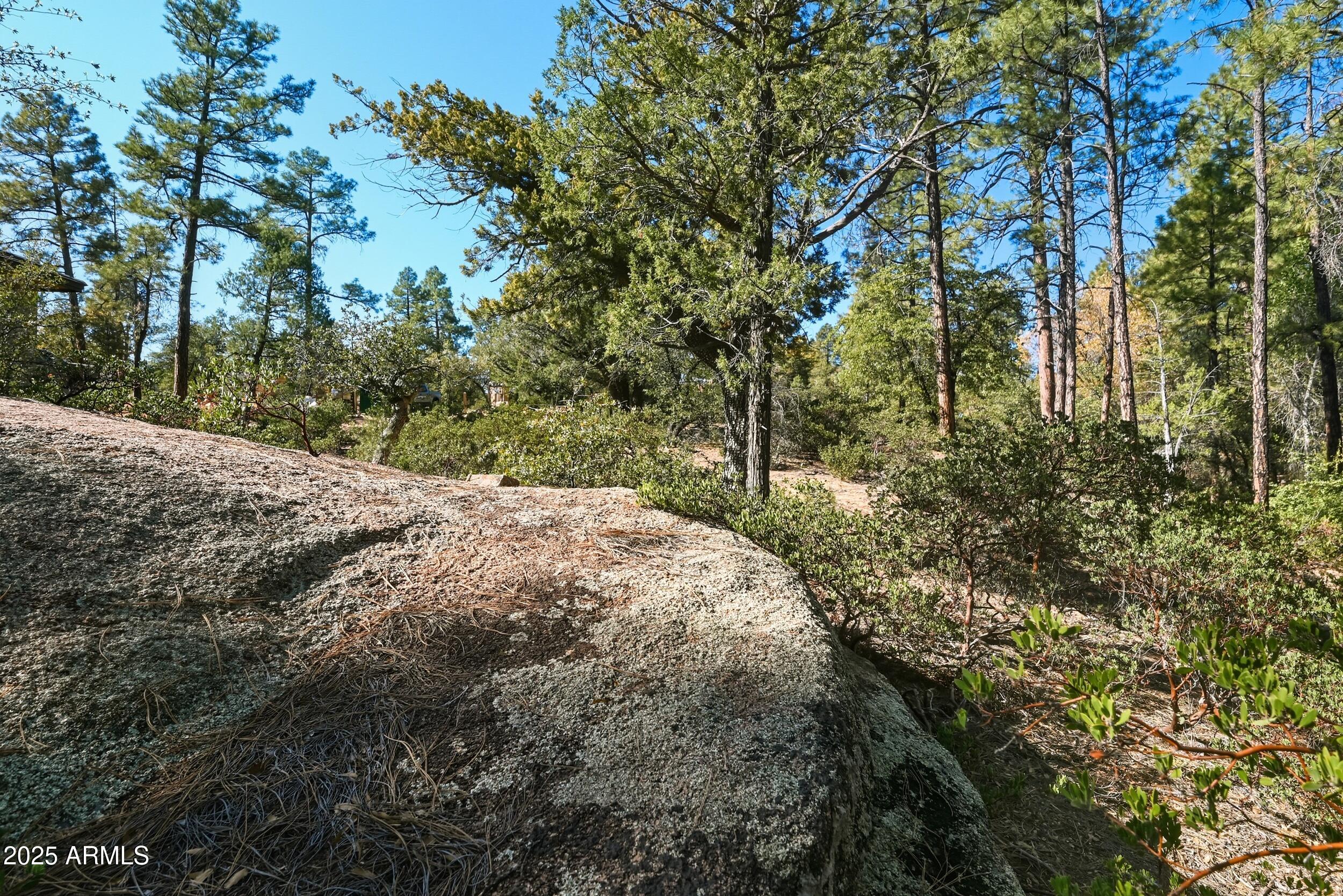3004 East Game Trail, Unit 243 Payson, AZ 85541 - Photo 2 of 17 a view of a road with plants and trees