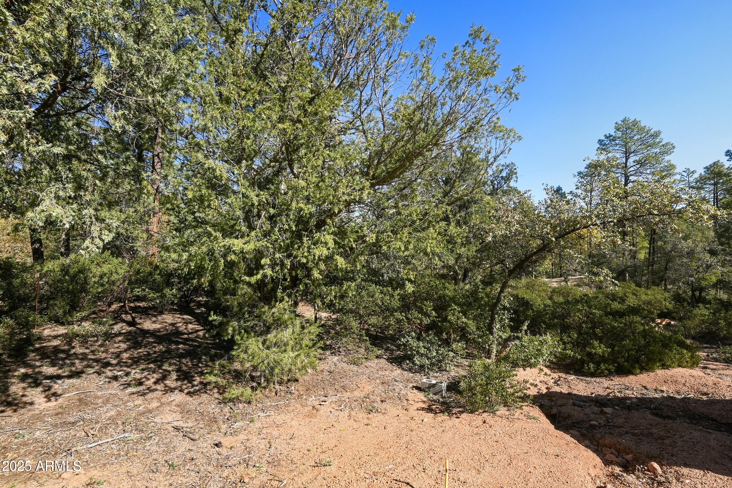 3004 East Game Trail, Unit 243 Payson, AZ 85541 - Photo 6 of 17 a view of a dry yard with trees and bushes