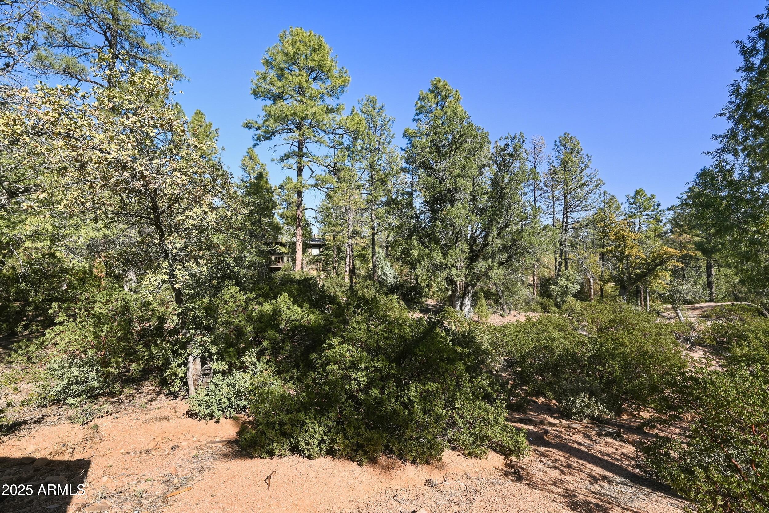 3004 East Game Trail, Unit 243 Payson, AZ 85541 - Photo 9 of 17 a view of a yard with a tree