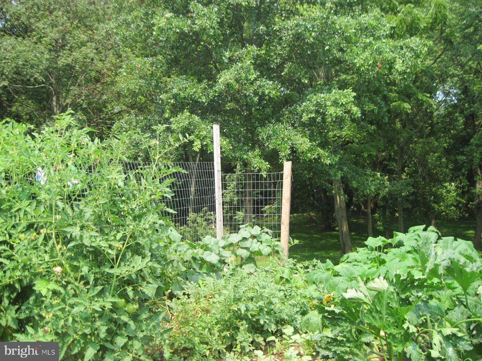 1130 Bowers Bridge Road Manchester, PA 17345 - Photo 40 of 71 garden space