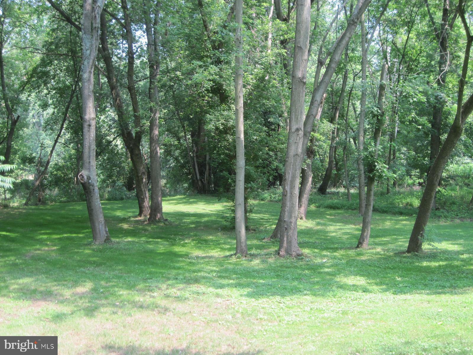 1130 Bowers Bridge Road Manchester, PA 17345 - Photo 42 of 71 back yard with sunny space