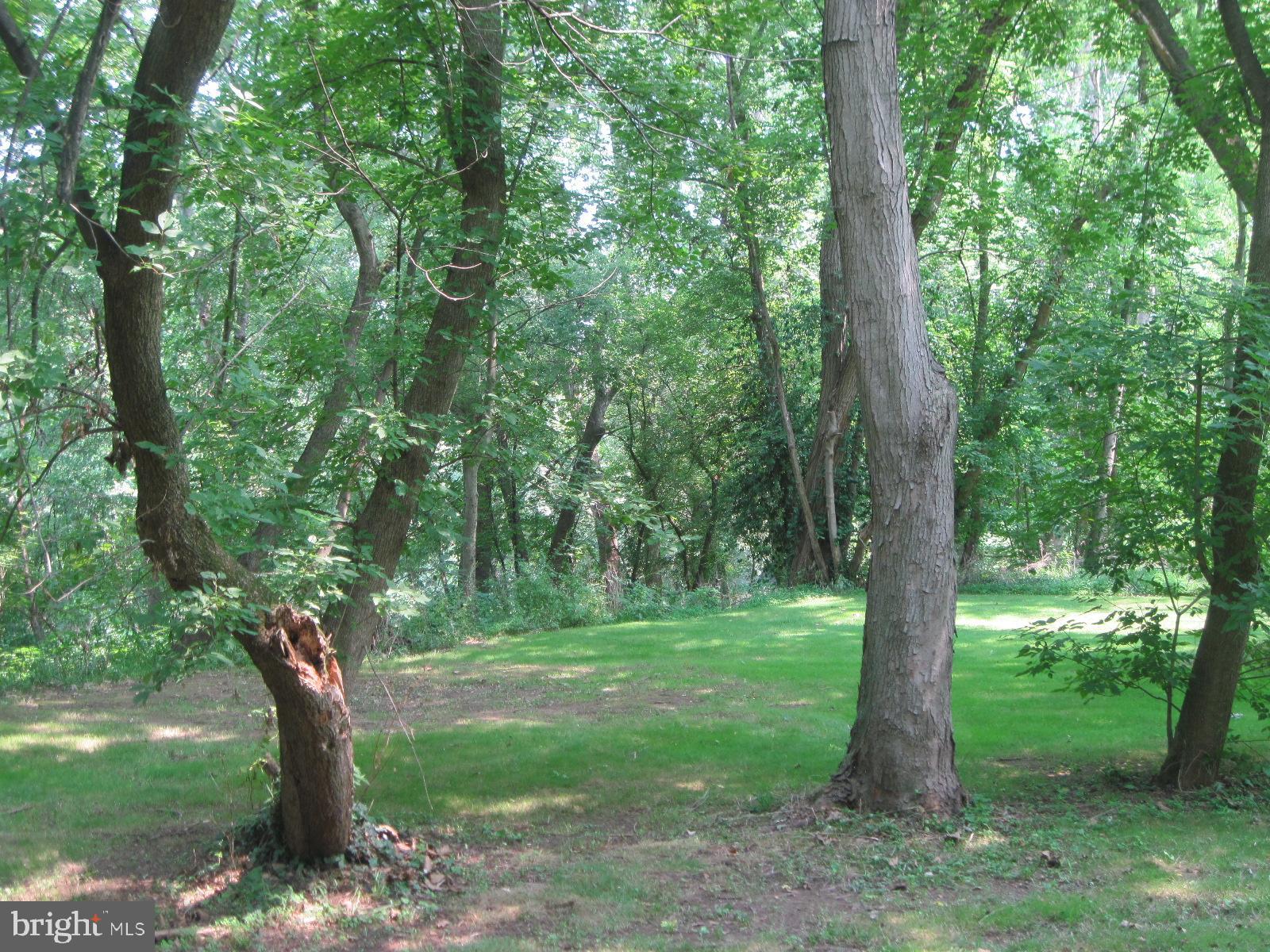 1130 Bowers Bridge Road Manchester, PA 17345 - Photo 43 of 71 mature trees for shady space