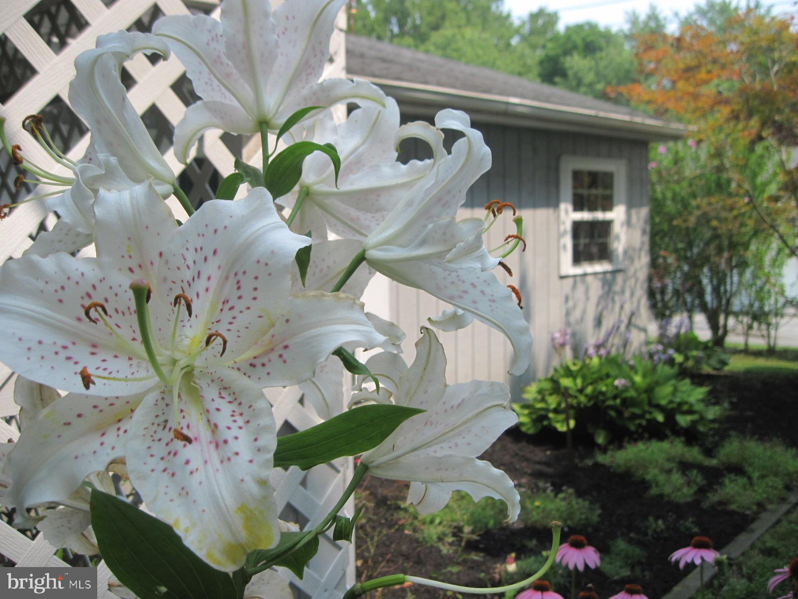 1130 Bowers Bridge Road Manchester, PA 17345 - Photo 53 of 71 Gallery Image 53