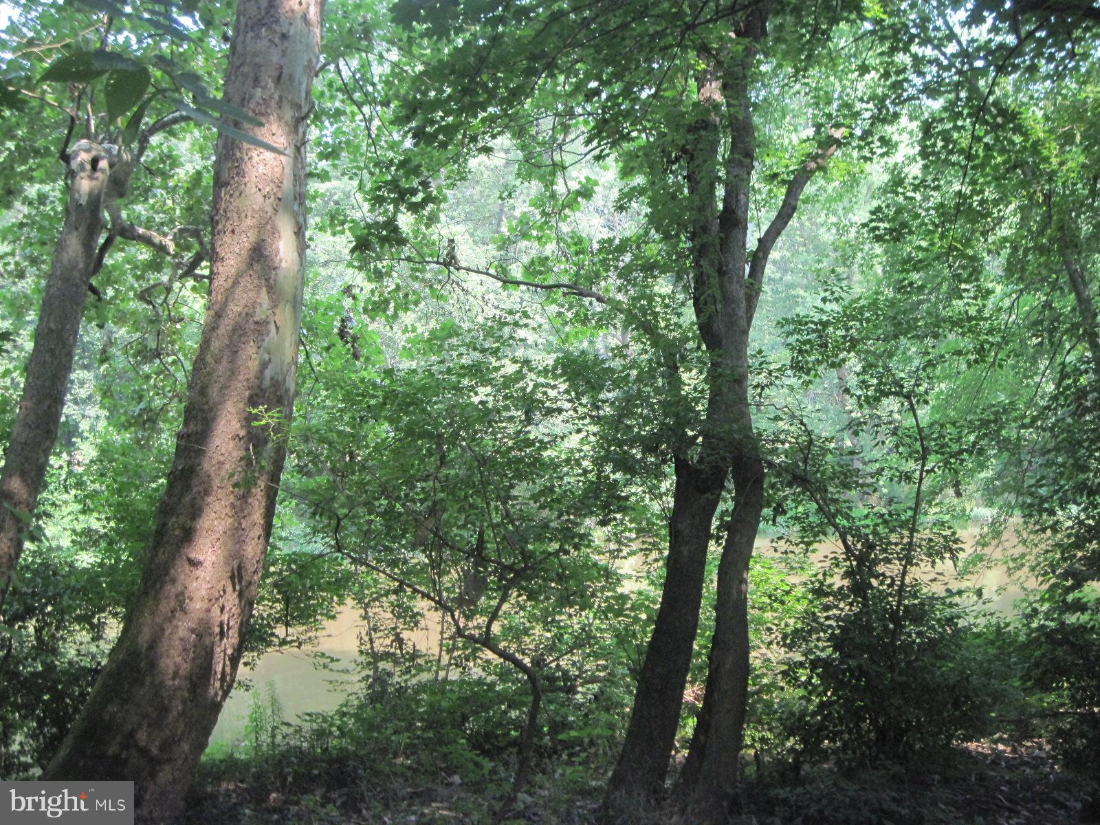 1130 Bowers Bridge Road Manchester, PA 17345 - Photo 59 of 71 view of Conowago Creek from the yard